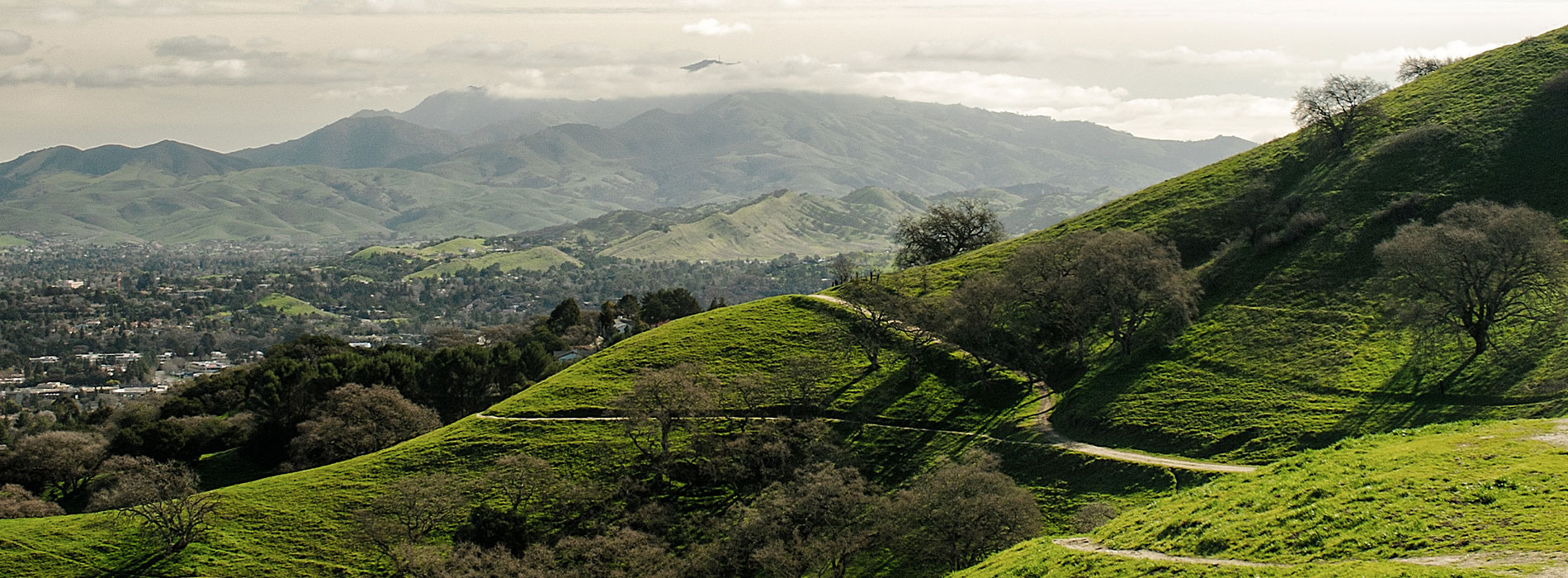 The image depicts a picturesque landscape with a winding road leading up a hillside dotted with green trees, overlooking a valley under a partly cloudy sky.